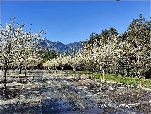 草坪頭05.jpg 草坪頭05.jpg