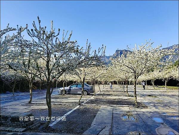 草坪頭04.jpg 草坪頭04.jpg