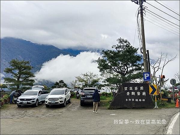 望高茶園04.jpg