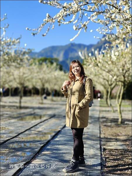 草坪頭09.jpg 草坪頭09.jpg