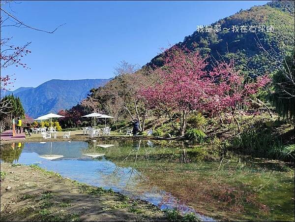 草坪頭27.jpg 草坪頭27.jpg