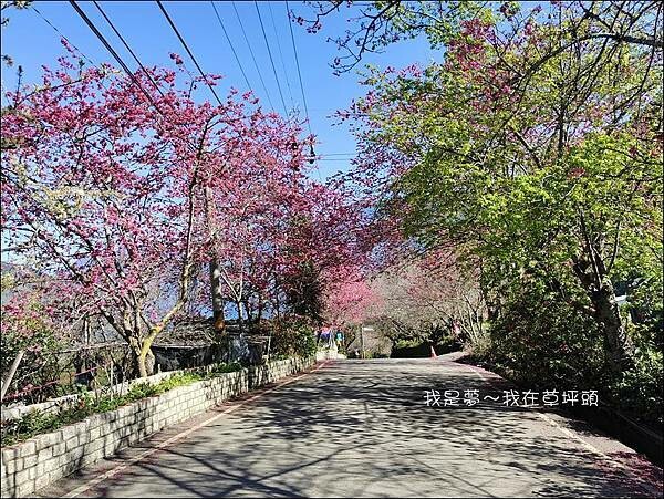 草坪頭29.jpg 草坪頭29.jpg