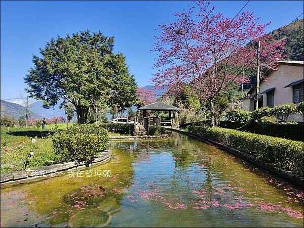 草坪頭39.jpg 草坪頭39.jpg