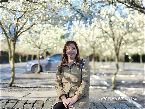 草坪頭06.jpg 草坪頭06.jpg