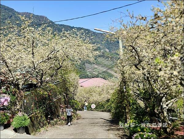 草坪頭34.jpg 草坪頭34.jpg