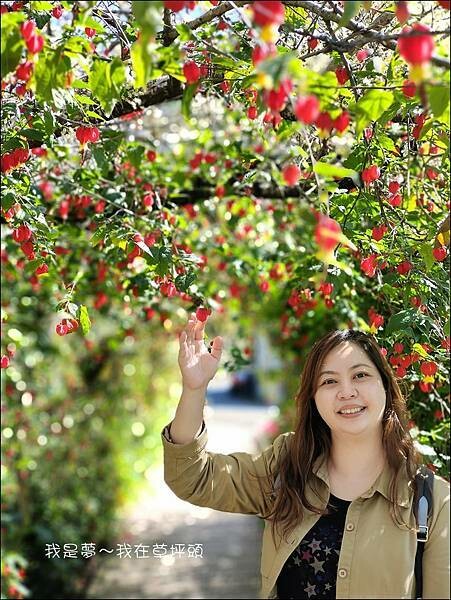 草坪頭38.jpg 草坪頭38.jpg