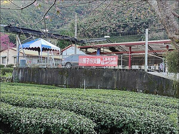 草坪頭02.jpg 草坪頭02.jpg