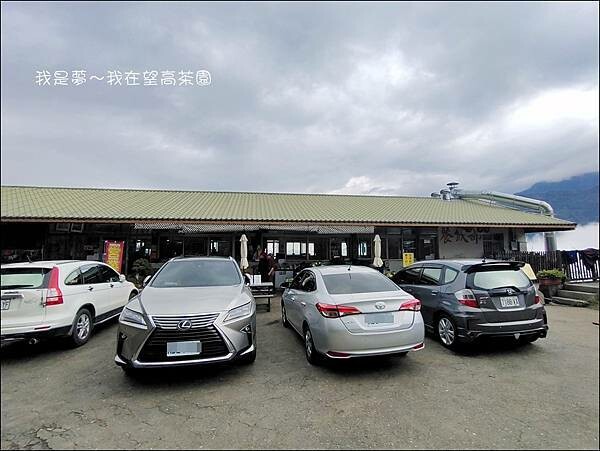 望高茶園05.jpg