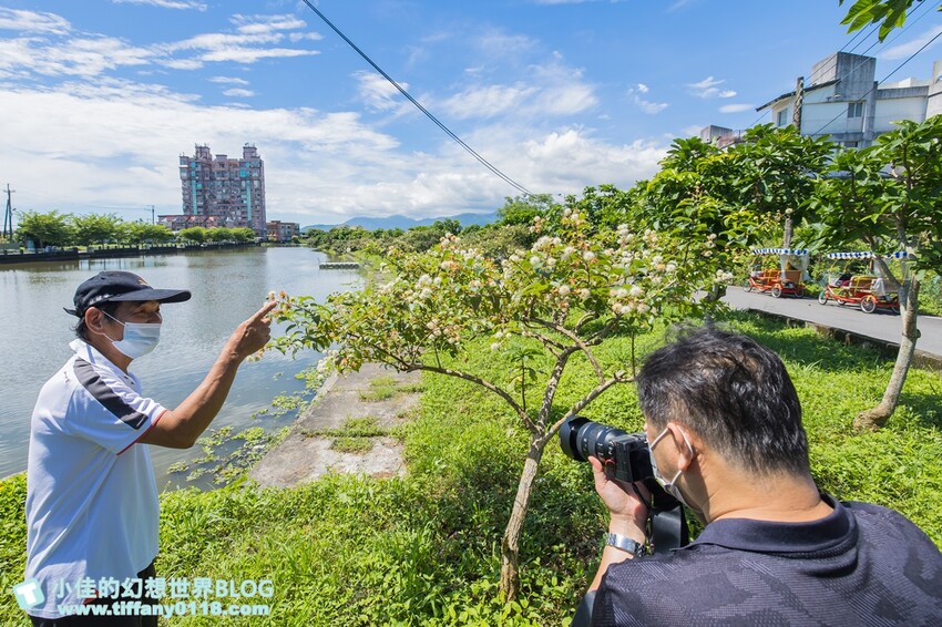 [宜蘭旅遊]冬山河休閒農業區特色活動輕旅行/三奇美徑彩繪稻田、五十二甲溼地夜賞穗花、餵鴨做鹹蛋DIY、單車遊舊河道
