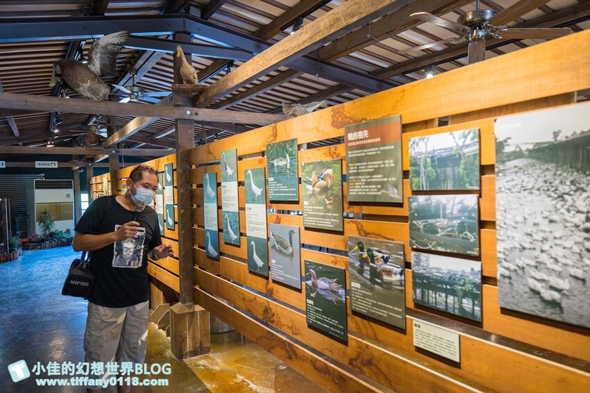 冬山河休閒農業區兩天一夜這樣玩/餵鴨做鹹蛋DIY、坐鴨母船遊河、水火同源超大溜滑梯、52甲私房秘境