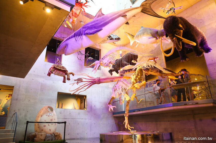 來一趟台南療癒之旅吧!2022台南博物館節開跑~「南博ONE」慢遊手札讓你爽玩台南超夯9大博物館一整年 @台南好Food遊