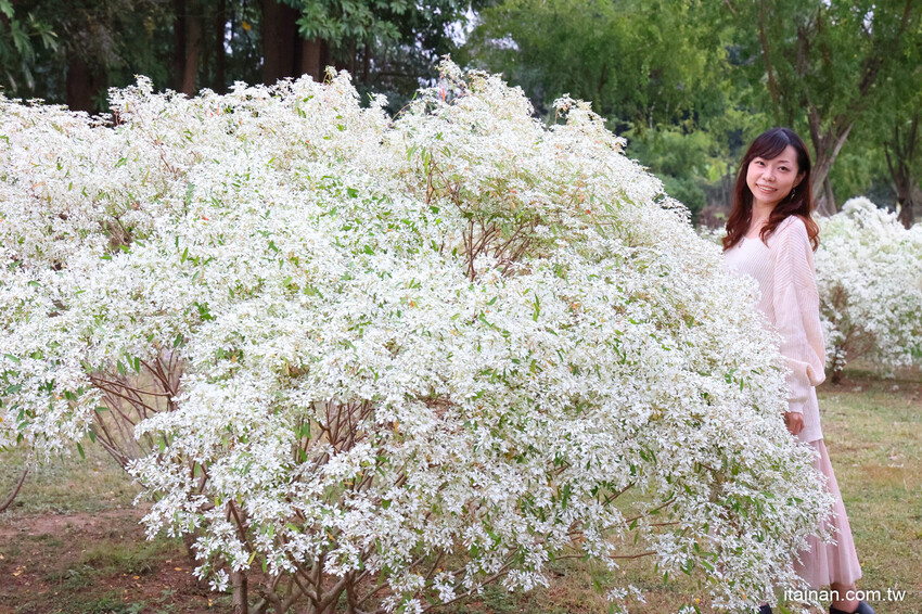 來一趟台南療癒之旅吧!2022台南博物館節開跑~「南博ONE」慢遊手札讓你爽玩台南超夯9大博物館一整年 @台南好Food遊