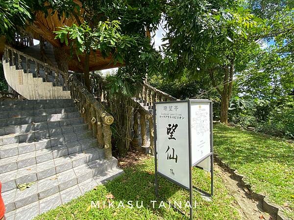 台南網美景點 仙湖農場 俗女養成記2 民宿 無邊境游泳池 無邊界泳池 可愛動物 親子農場 農場環境介紹