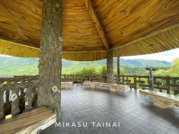 台南網美景點 仙湖農場 俗女養成記2 民宿 無邊境游泳池 無邊界泳池 可愛動物 親子農場 農場環境介紹