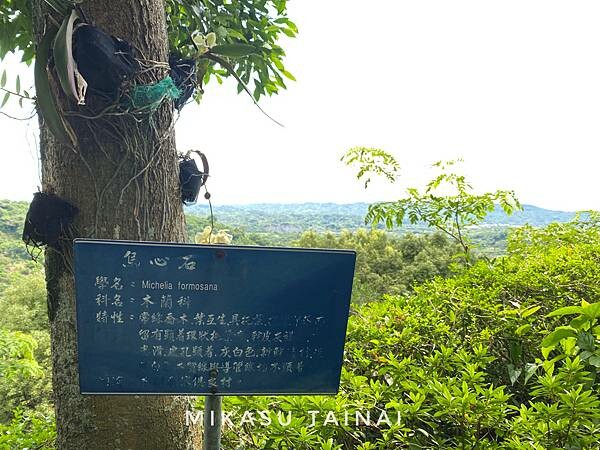 台南網美景點 仙湖農場 俗女養成記2 民宿 無邊境游泳池 無邊界泳池 可愛動物 親子農場 農場環境介紹