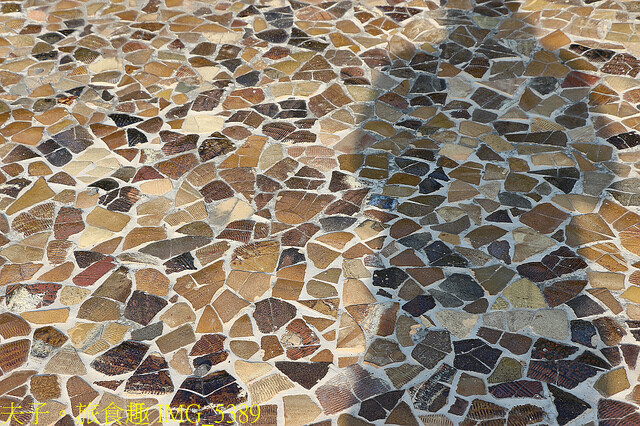 IMG_5389.jpg - 高雄永安濕地 20220615 IMG_5389.jpg - 高雄永安濕地 20220615