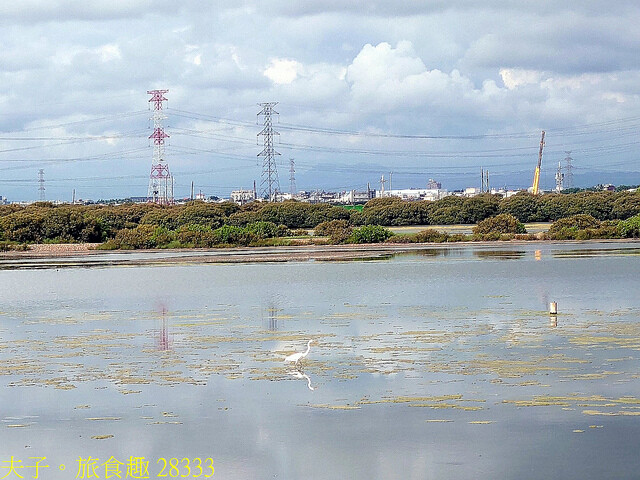 28333.jpg - 高雄永安濕地 20220615 28333.jpg - 高雄永安濕地 20220615