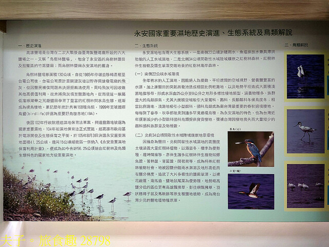 28798.jpg - 高雄永安濕地 20220615 28798.jpg - 高雄永安濕地 20220615
