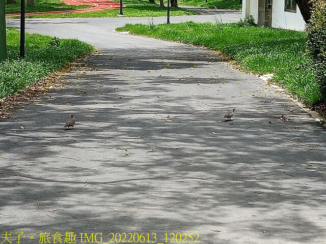 IMG_20220613_120252.jpg - 桃園南昌森林運動公園  20220613