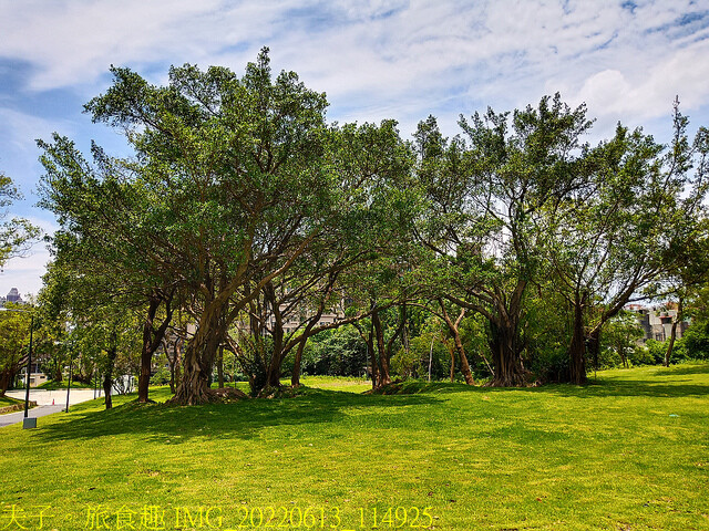 IMG_20220613_114925.jpg - 桃園南昌森林運動公園  20220613