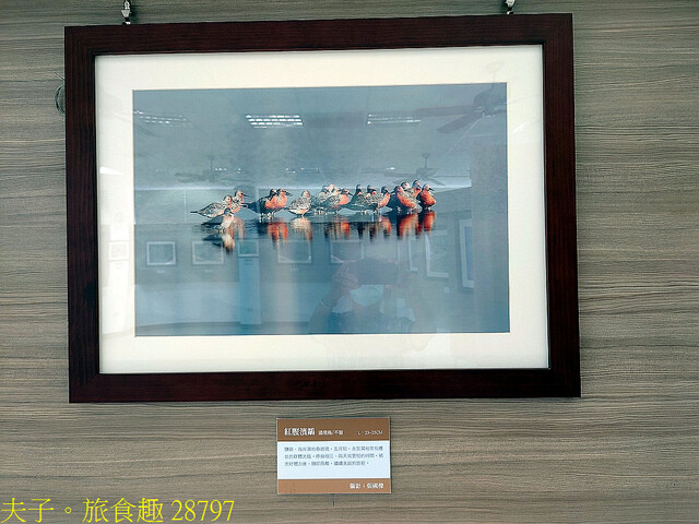 28797.jpg - 高雄永安濕地 20220615 28797.jpg - 高雄永安濕地 20220615