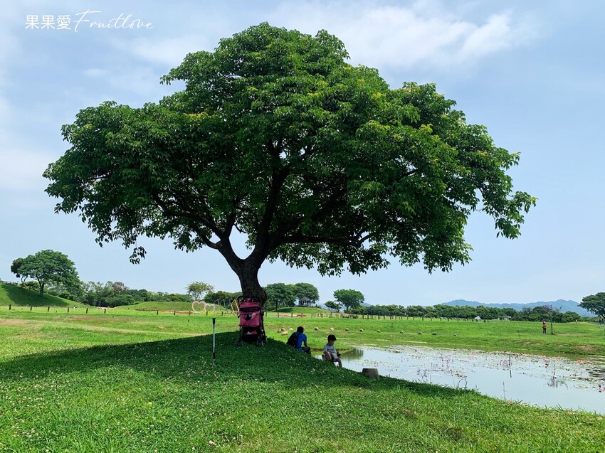 台中景點|后里環保公園擁有大面積的草皮空間，非常適合小孩和毛孩放電 @果果愛Fruitlove