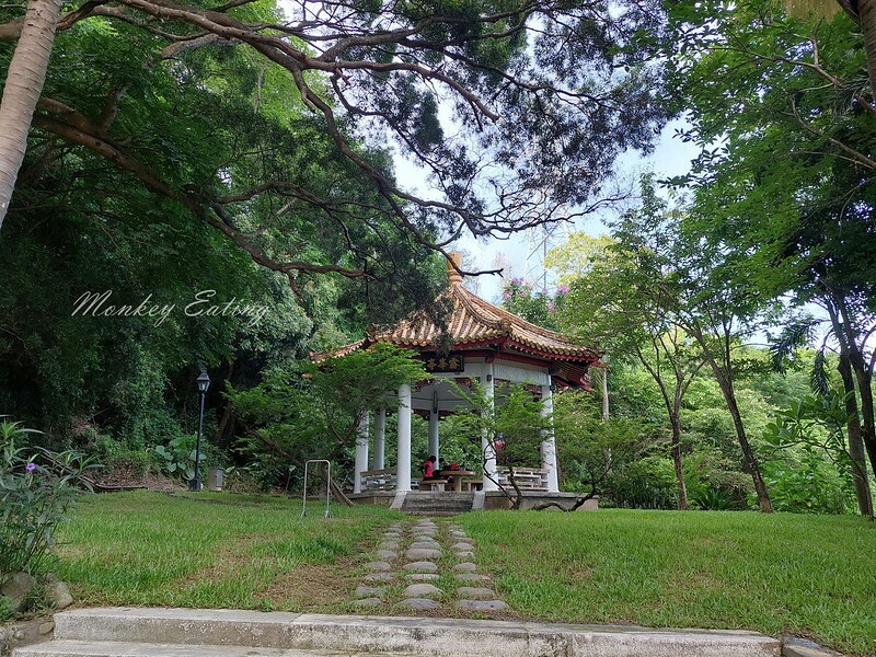 20220618_070616 20220618_070616