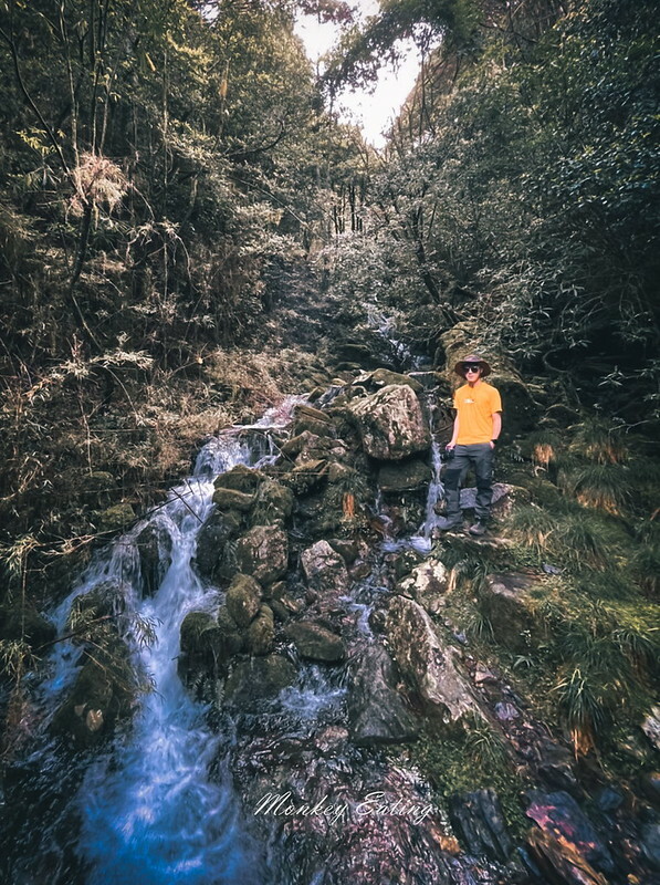 LINE_ALBUM_20220529木馬鞍馬古道O型路線、雪山天池與神木_220529_17