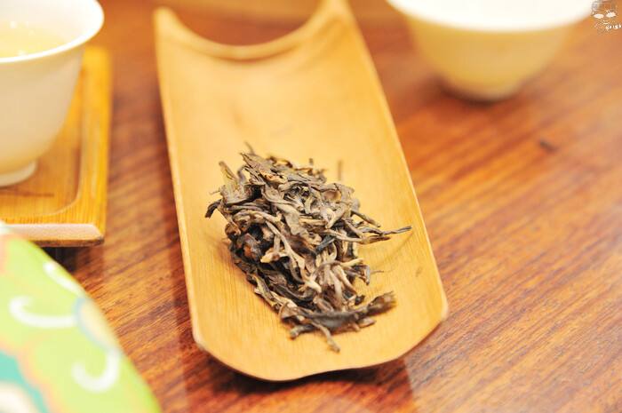 DSC_6157.jpg DSC_6157.jpg