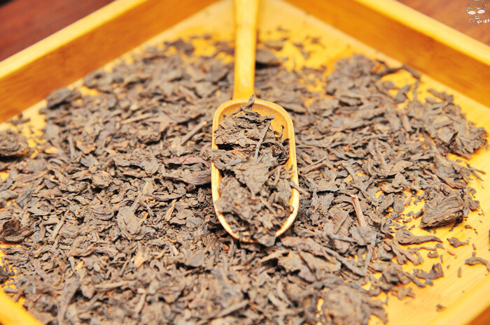 DSC_6152.jpg DSC_6152.jpg