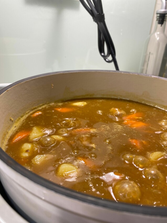 [限時開團]Vermicular日本IH琺瑯電子鑄鐵鍋｜100%日本職人工藝｜保留食物原本風味｜智能溫控煮菜免顧鍋 - 萍姐愛分享