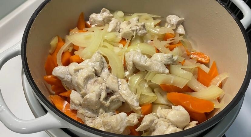 [限時開團]Vermicular日本IH琺瑯電子鑄鐵鍋｜100%日本職人工藝｜保留食物原本風味｜智能溫控煮菜免顧鍋 - 萍姐愛分享