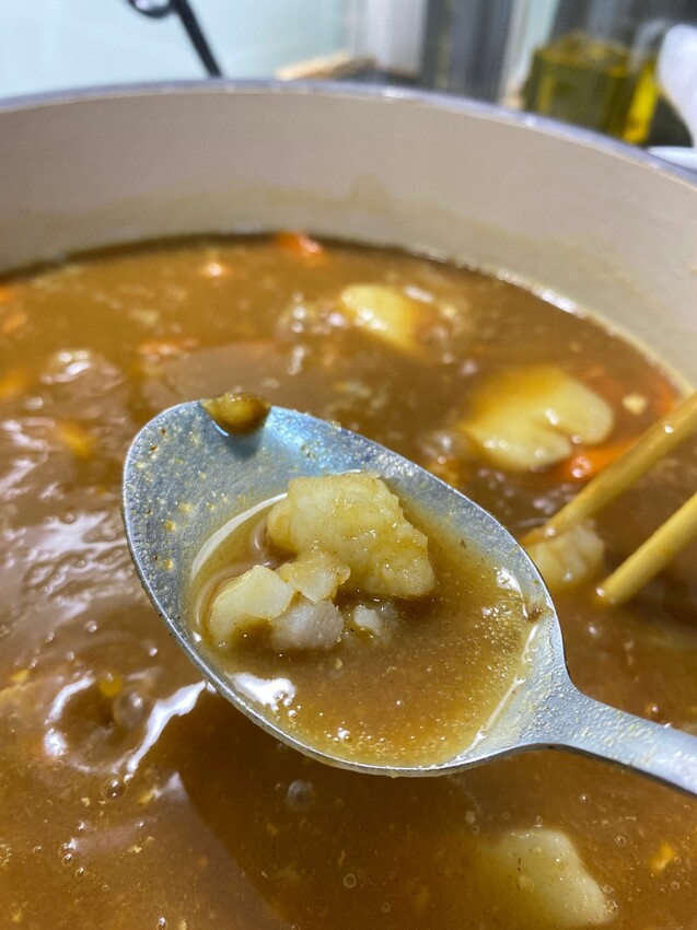 [限時開團]Vermicular日本IH琺瑯電子鑄鐵鍋｜100%日本職人工藝｜保留食物原本風味｜智能溫控煮菜免顧鍋 - 萍姐愛分享