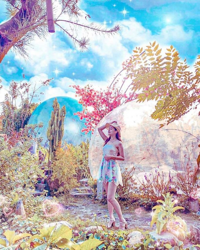 埔里一日遊 :多肉秘境