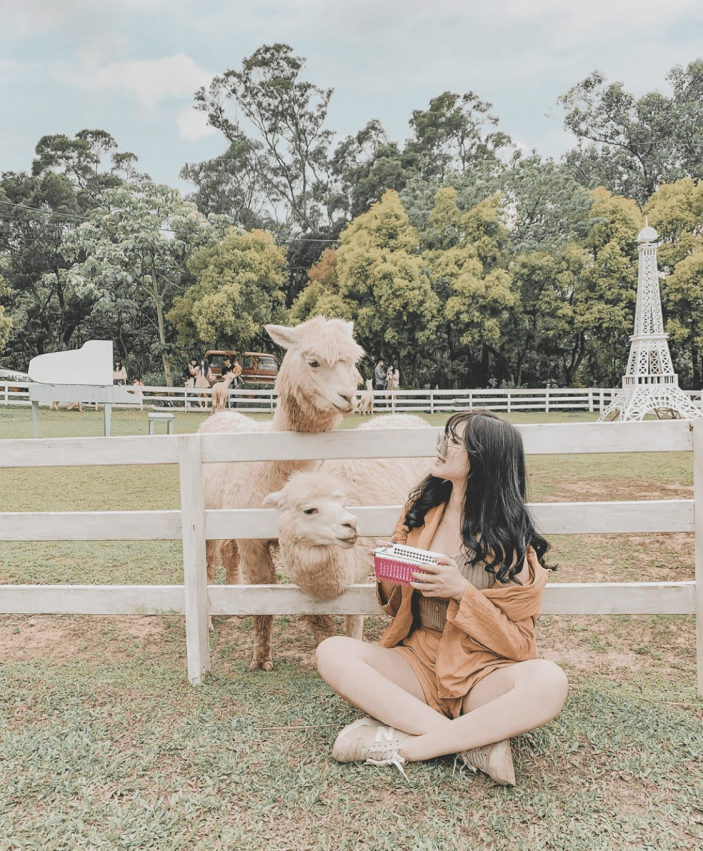 桃園景點推薦#7|大溪區.富田花園農場