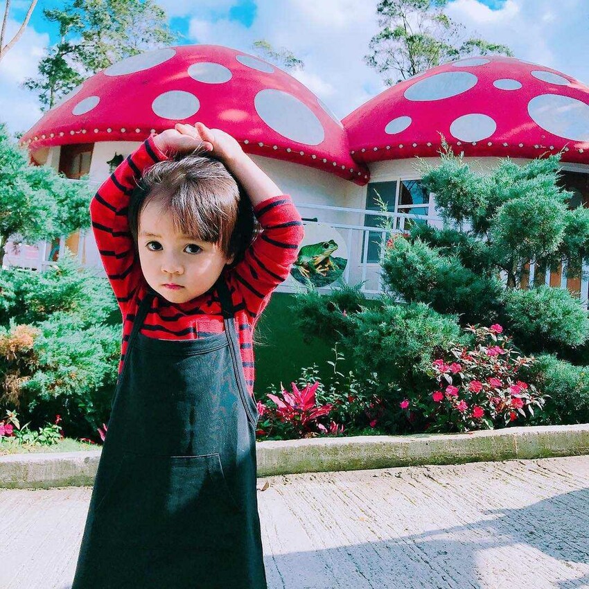 蘇維拉莊園|蘑菇屋