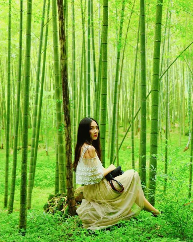 南投景點推薦 :長源圳古道 秘境推薦 南投竹林