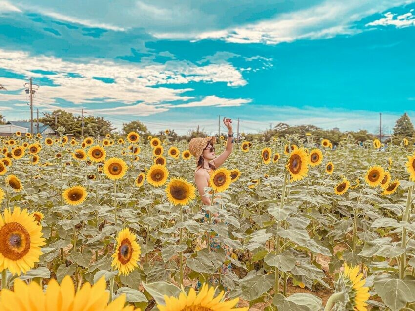 ▸桃園景點, 景點, 遊程 中壢, 中壢景點, 大園, 大溪景點, 打卡景點, 景點, 桃園, 桃園旅遊, 桃園景點, 網美景點, 觀音景點, 青埔, 青埔景點 2021