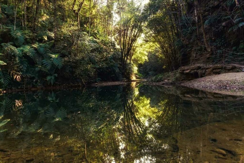 南投景點推薦 :澀水森林步道 南投秘境 一日遊景點 2021 南投秘境景點 南投私房景點 南投打卡景點 南投新景點 南投一日遊行程 2021景點