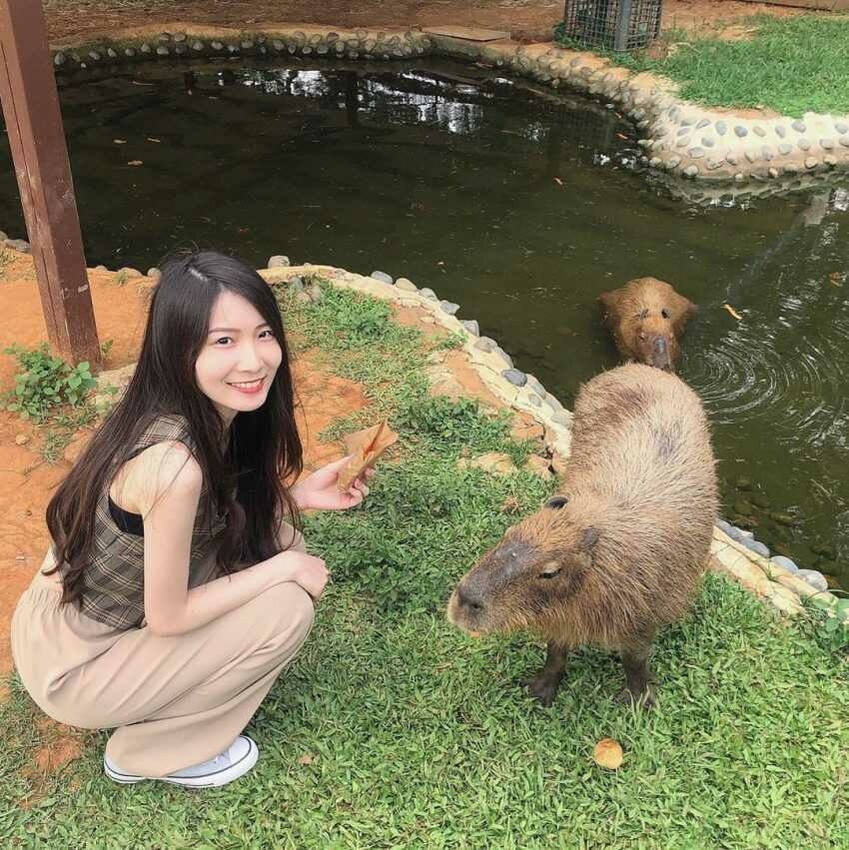 桃園景點推薦 #6|楊梅區.埔心牧場