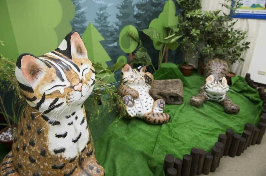 圖片來源:IG @papilioshih 南投一日遊