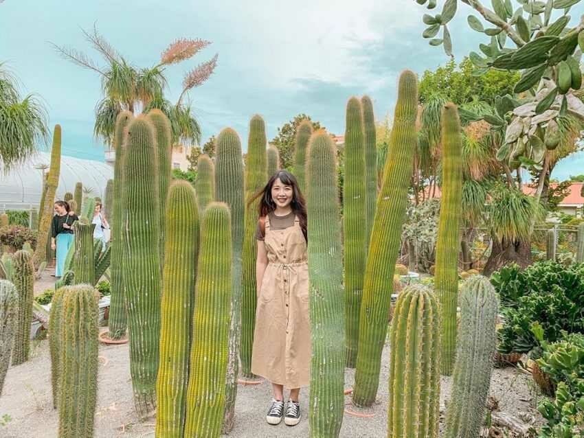 彰化打卡景點 |#6 生源仙人掌