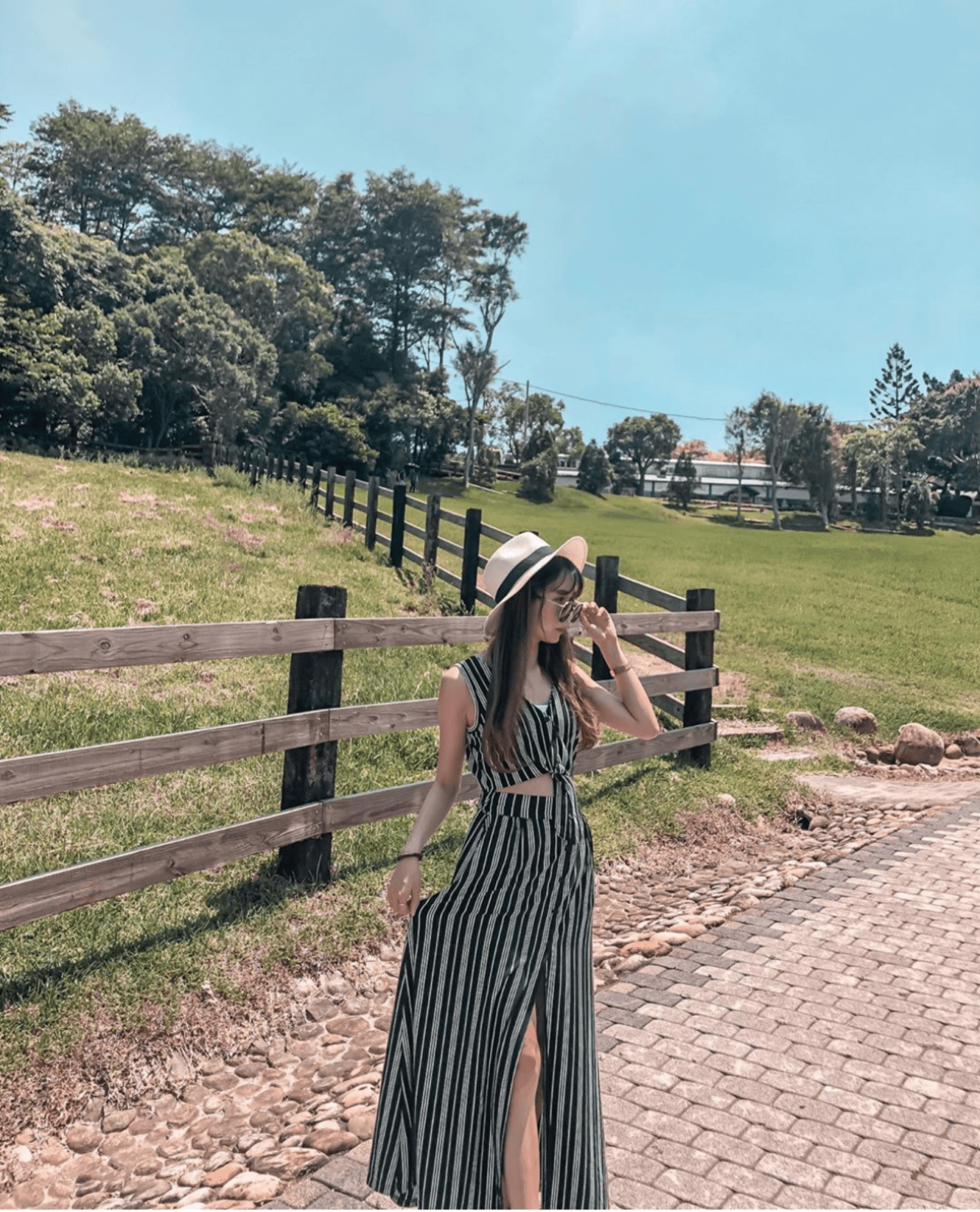 苗栗通霄一日遊 飛牛牧場