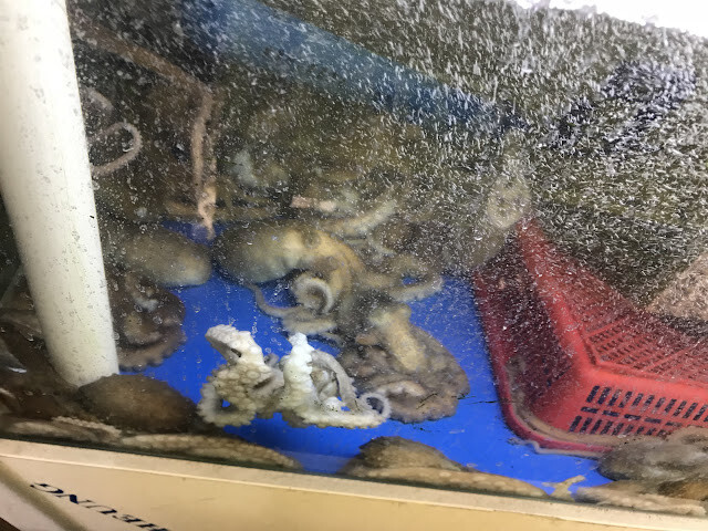 韓國首爾行-廣藏市場，首爾市最大的市場