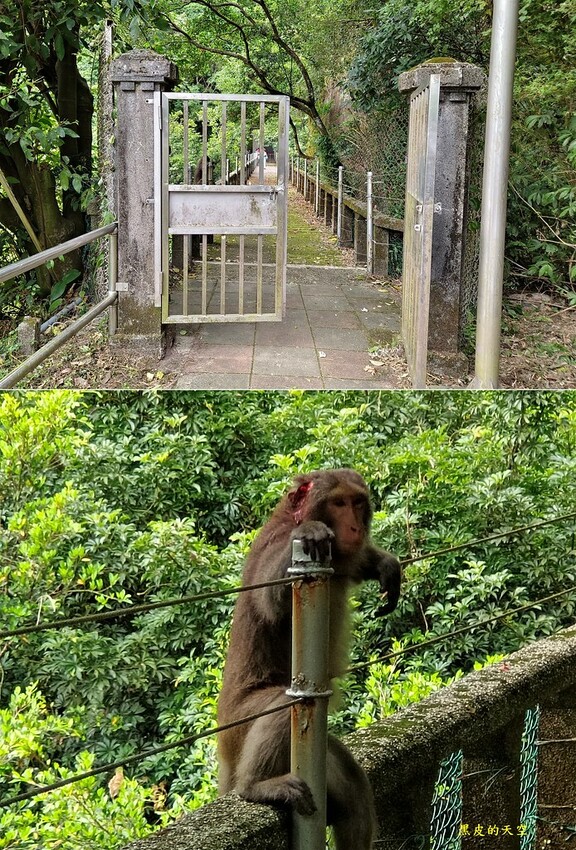 2022 0624台北士林藍寶石泉秘境草山水道006 2022 0624台北士林藍寶石泉秘境草山水道006