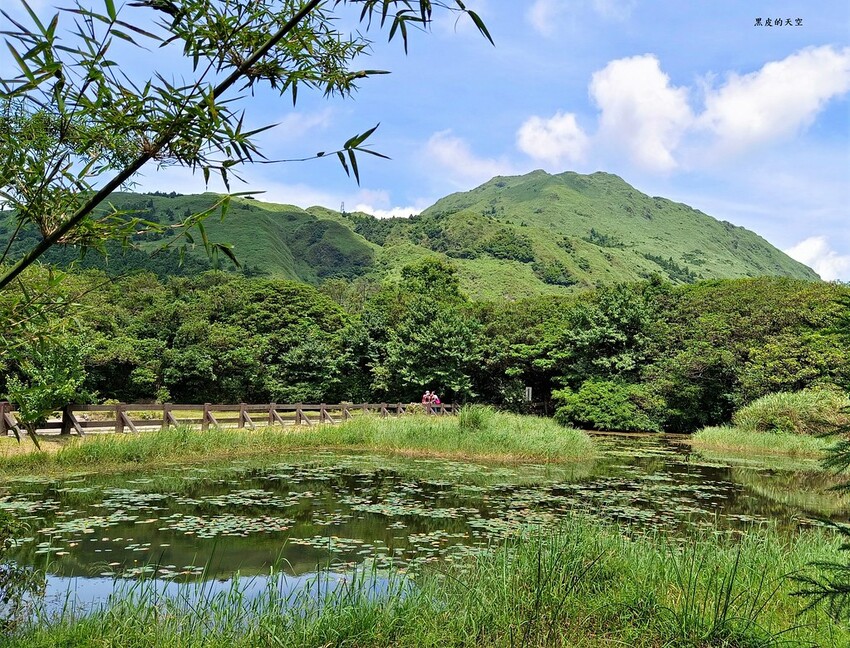 2022 0624冷擎步道陽明山008