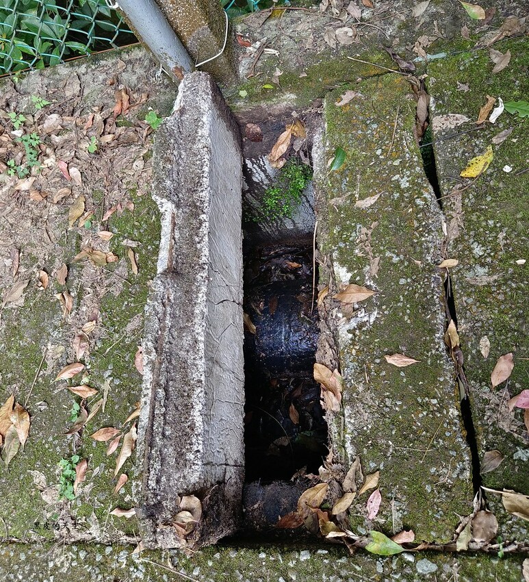 2022 0624台北士林藍寶石泉秘境草山水道008 2022 0624台北士林藍寶石泉秘境草山水道008