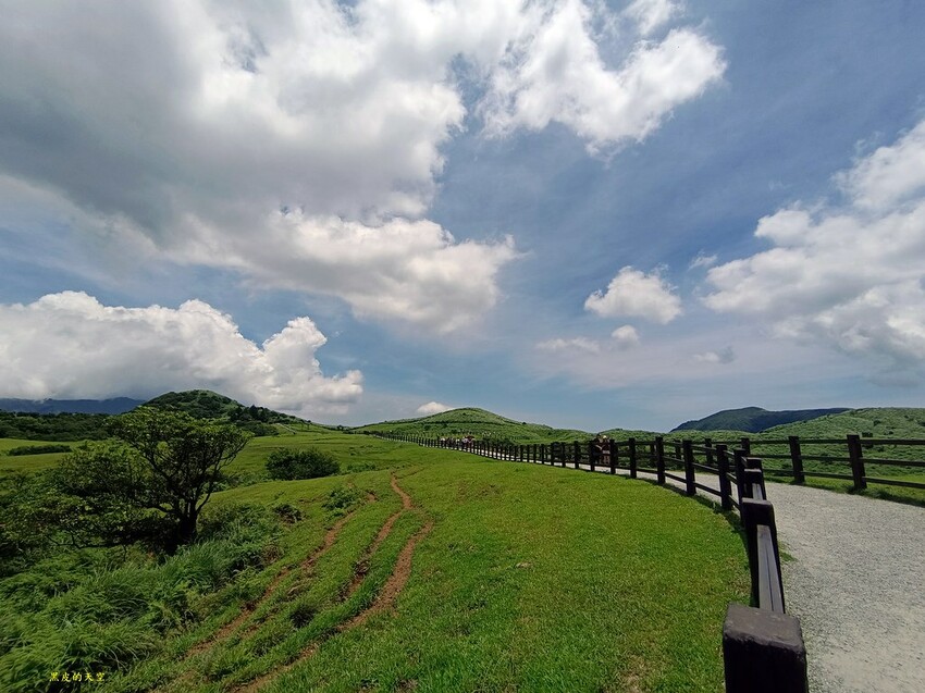 2022 0624冷擎步道陽明山025
