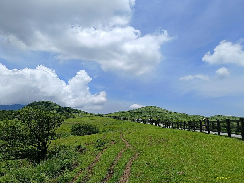 2022 0624冷擎步道陽明山026
