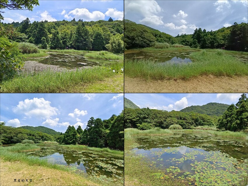 2022 0624冷擎步道陽明山009